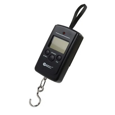 Весы Garin DS2 BL1