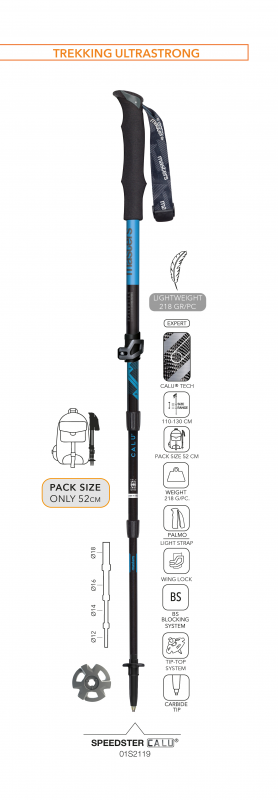 Палки треккинговые Masters SPEEDSTER CALU