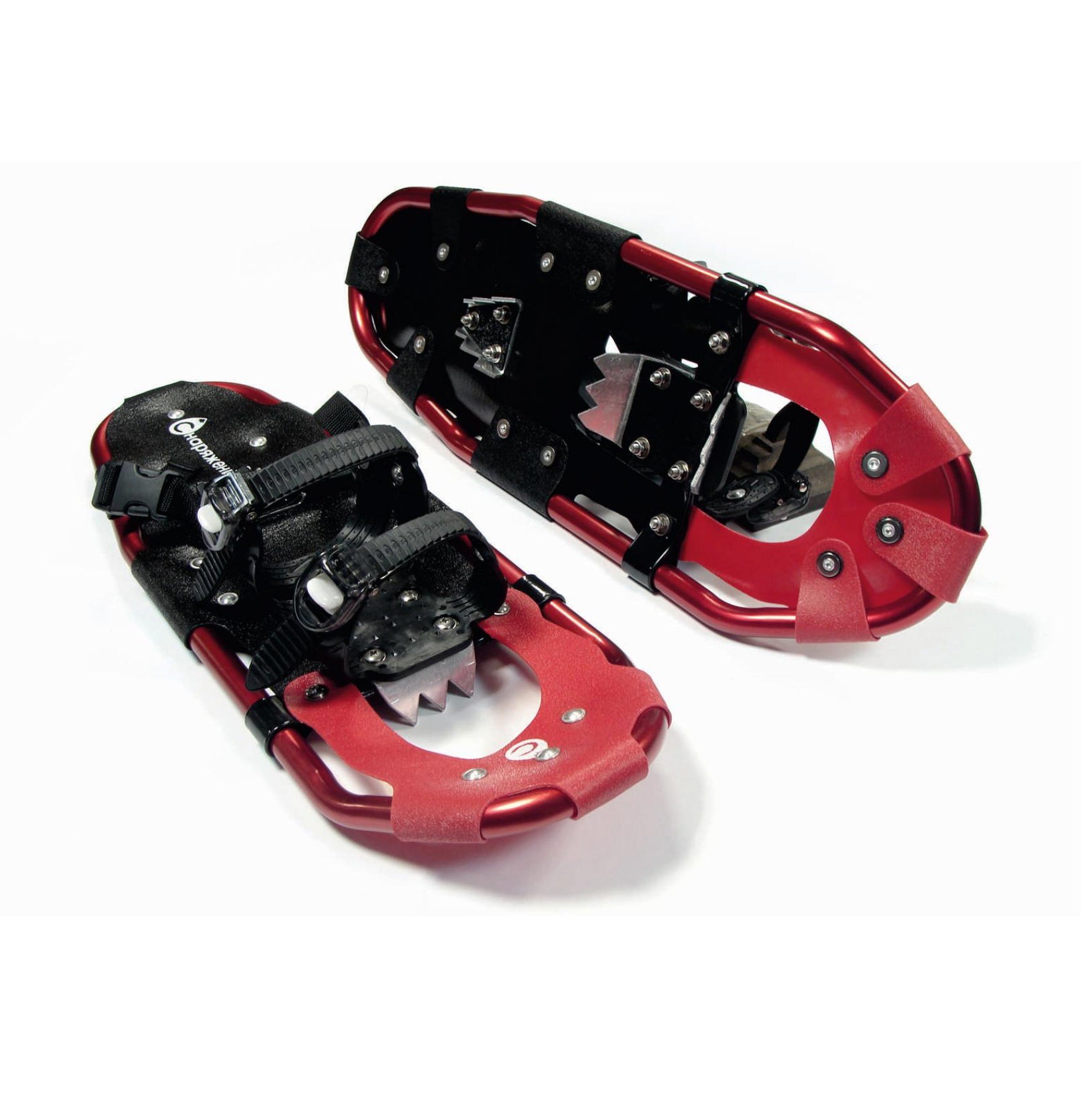 Снегоступы