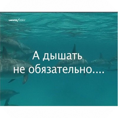 DVD "А дышать не обязательно..."